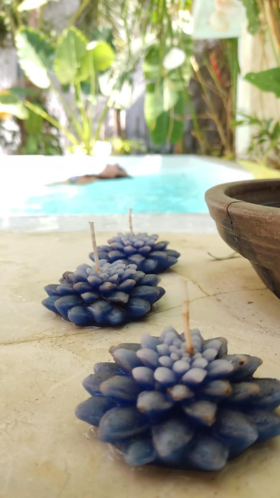 Chale Da Sereia Apart-Hotel Com Cozina Piscina Oasis No Centro De Jericoacoara Экстерьер фото